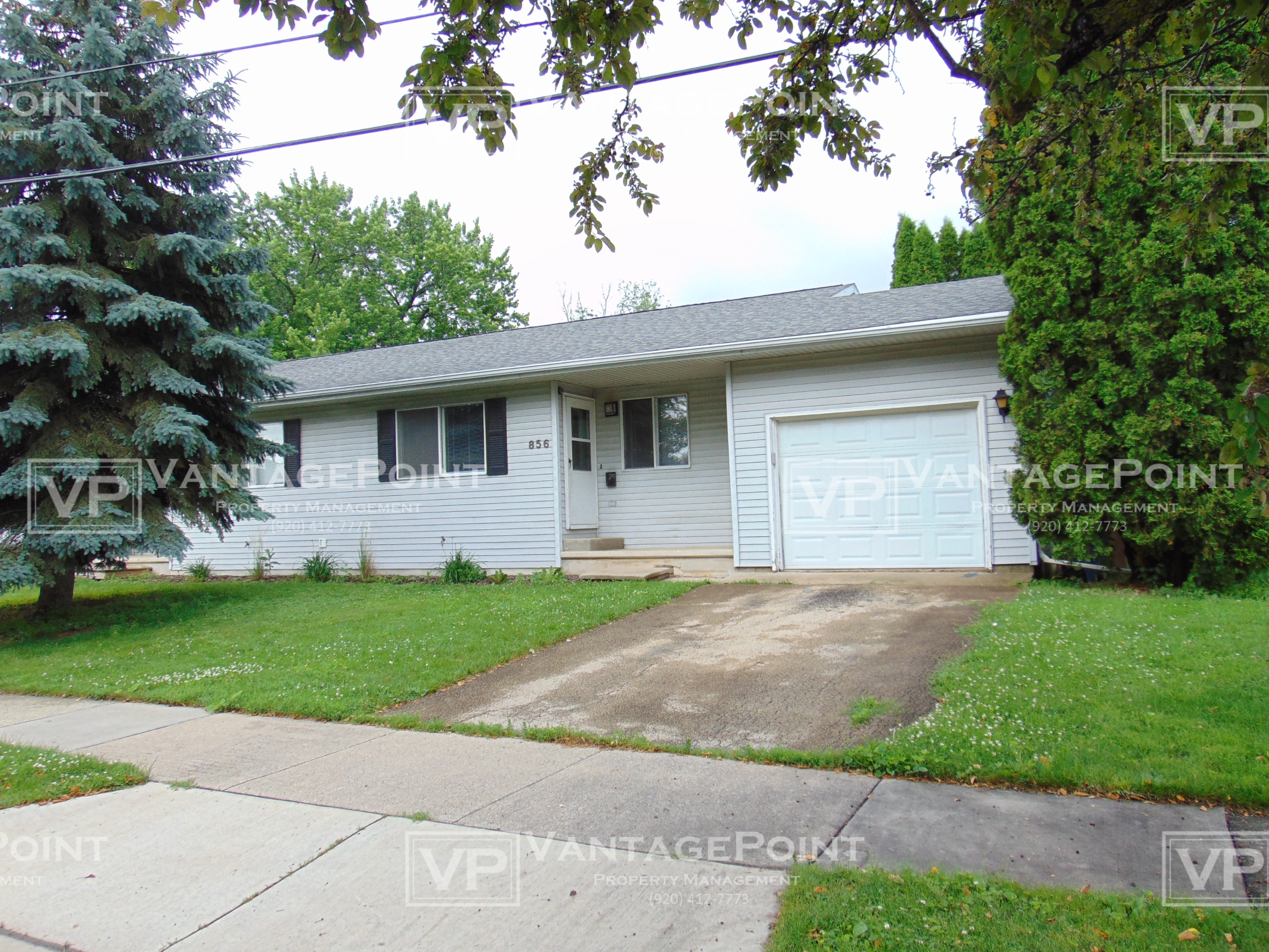 856 Martin Street